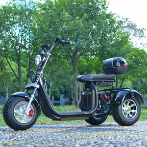 Off Road 3 roda o 'trotinette' gordo Trike 2000W do pneu motor 45KM/H CA EUA ESTOQUE