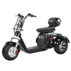 Off Road 3 Rodas Pneu Gordo Scooter Trike 05WQ com 60v 40ah Bateria 2000W